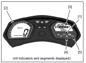 PGM-FI system 