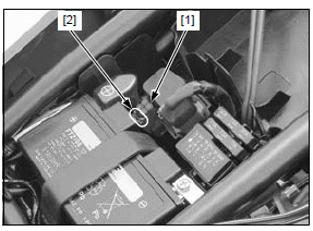 PGM-FI system 