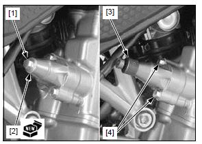 Cylinder head/valves