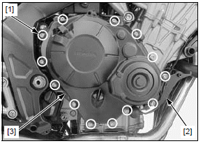 Clutch/gearshift linkage/starter clutch