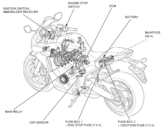 Immobilizer system (HISS)