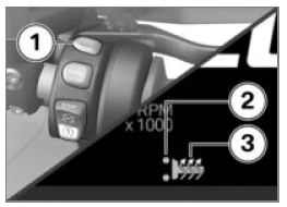 Heated handlebar grips 