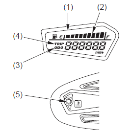 Odometer/Tripmeter/Fuel Gauge Display