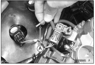 Fuel System (DFI)