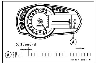 Immobilizer System (Equipped Models)