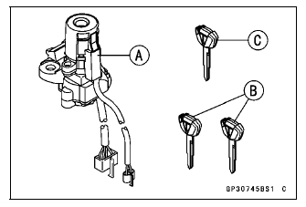 Immobilizer System (Equipped Models)