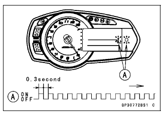 Immobilizer System (Equipped Models)