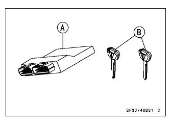Immobilizer System (Equipped Models)
