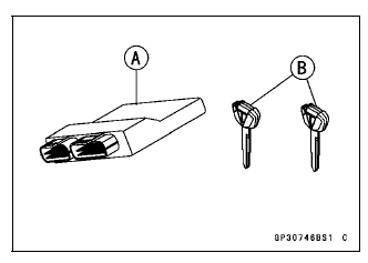 Immobilizer System (Equipped Models)
