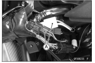 Immobilizer System (Equipped Models)