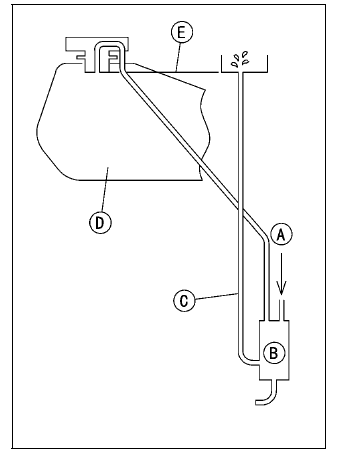Evaporative Emission Control System (CAL and SEA-B1 Models)
