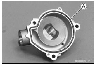 Water Pump
