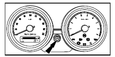 SELECTOR BUTTON