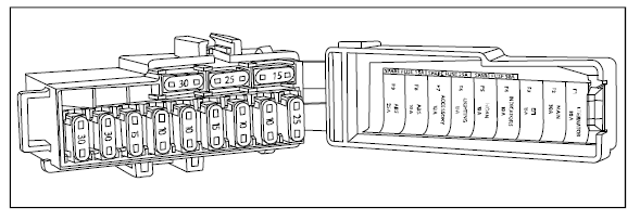 FUSE AND FUSE CARRIER