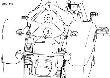 Saddlebags: XL1200T