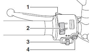Handlebar switches
