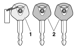 Immobilizer system